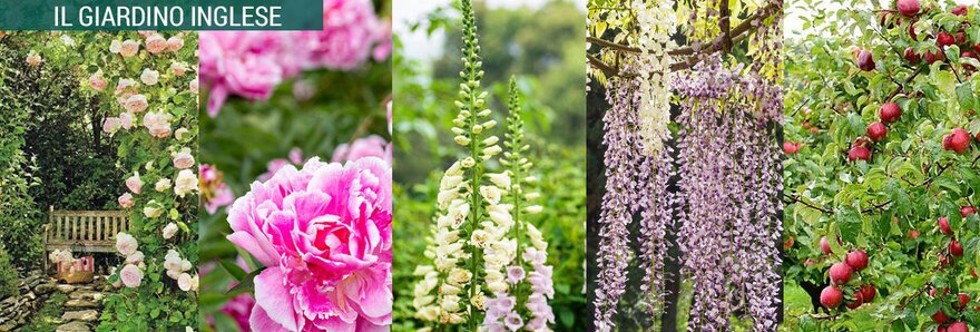 garden design online