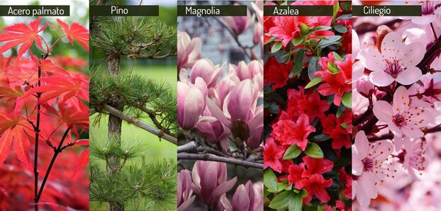 garden design online